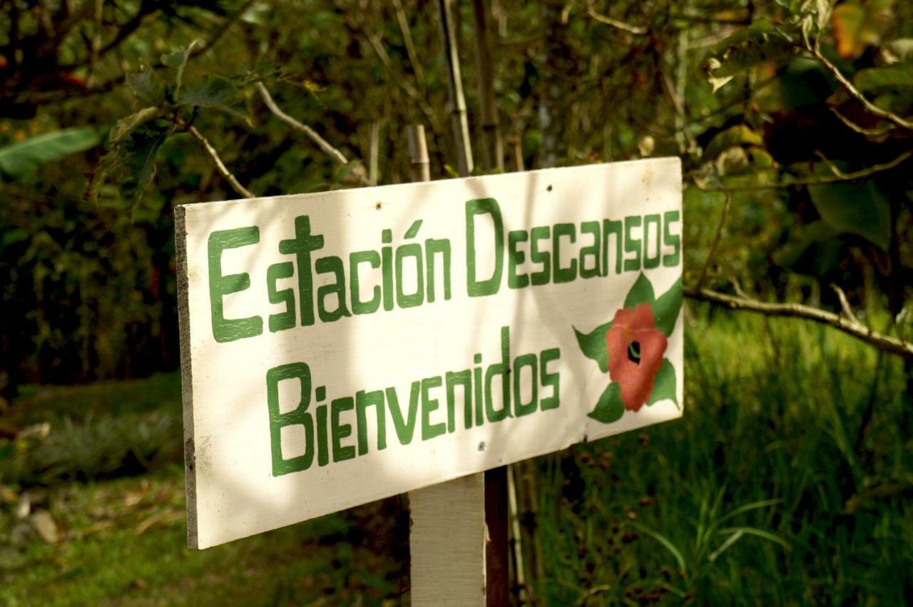 Paraíso Finca Estacion Descansos B&B 외부 사진