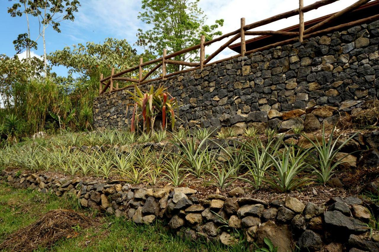 Paraíso Finca Estacion Descansos B&B 외부 사진